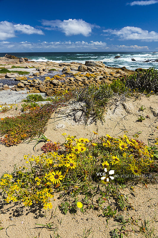 南非西海岸半岛科伦拜恩角图片素材