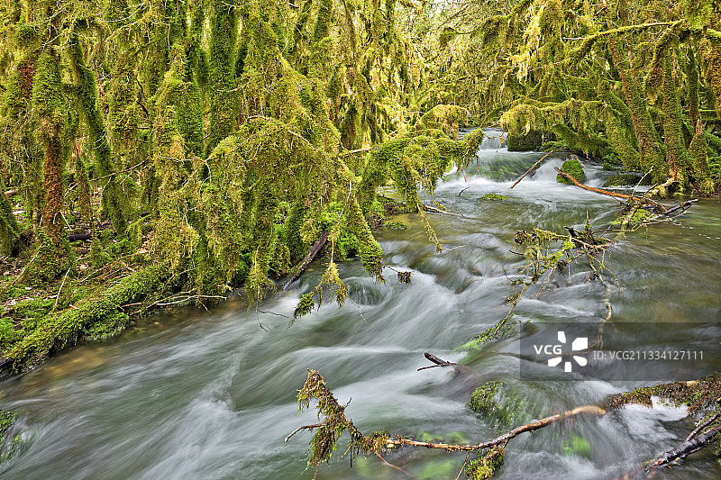 法国比热地区的阿尔迈耶小溪图片素材