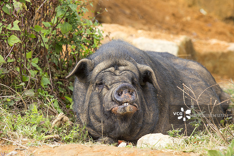 哀牢山图片素材