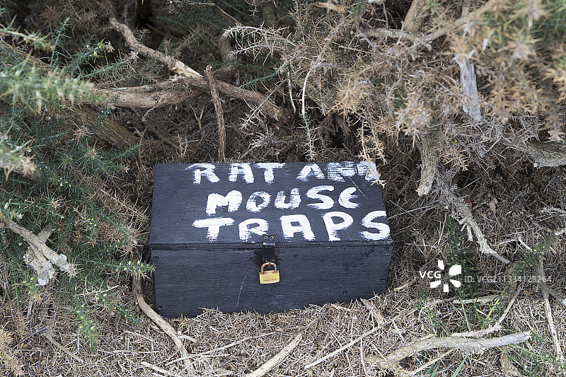 房屋附近的捕鼠器-福克兰群岛图片素材