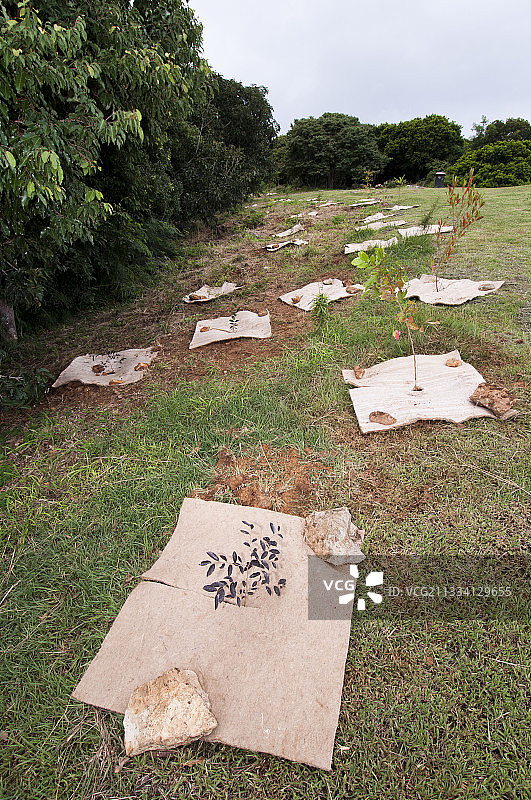 世界自然基金会与民航总局合作图片素材