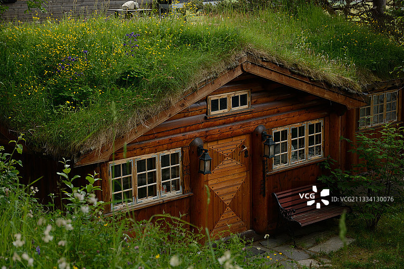 挪威绿色屋顶的木屋图片素材