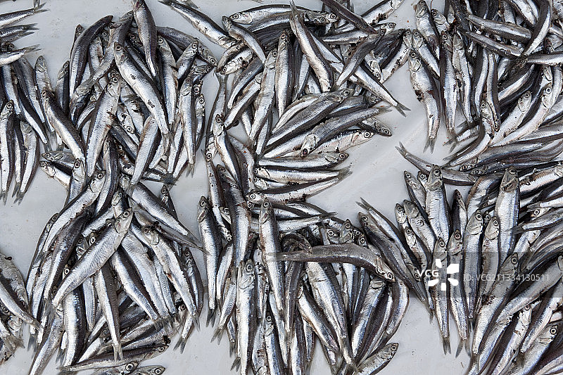 索维拉摩洛哥摊位上的鳀鱼图片素材