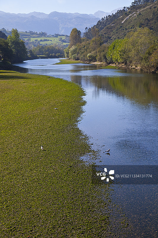 西班牙坎塔布里亚莫列达德瓦河图片素材