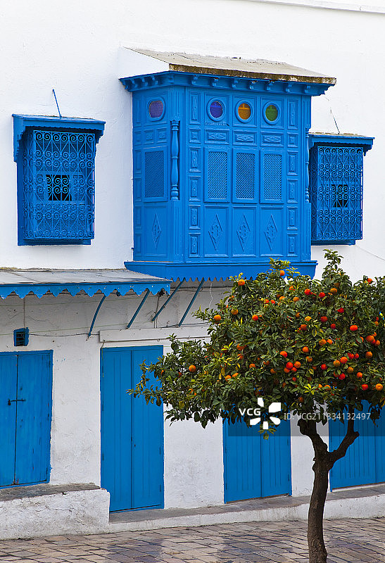 水果树与蓝白色建筑外墙-西迪布赛义德，突尼斯图片素材