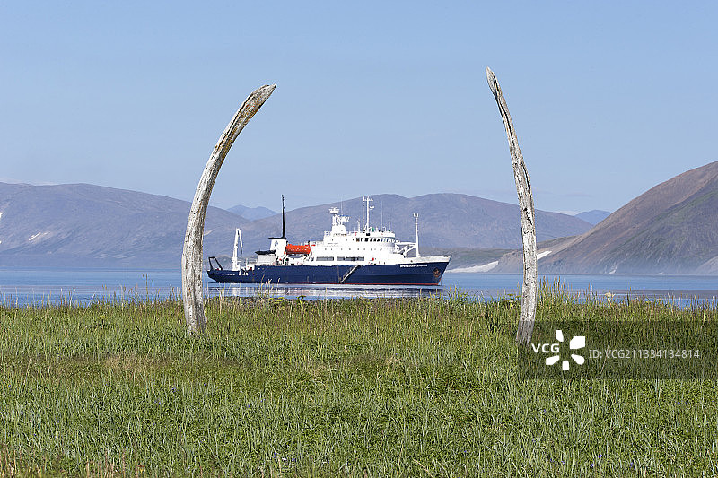 灰鲸或弓头鲸的颌骨遗骸图片素材