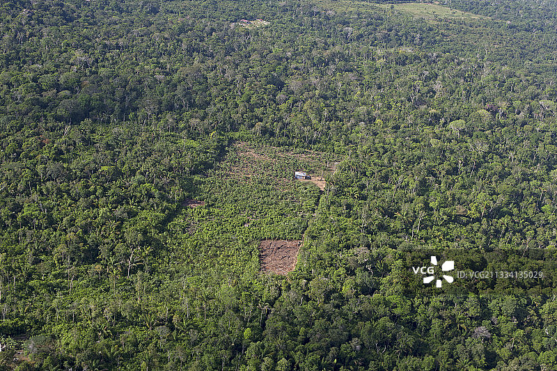巴西亚马逊热带雨林文化图片素材