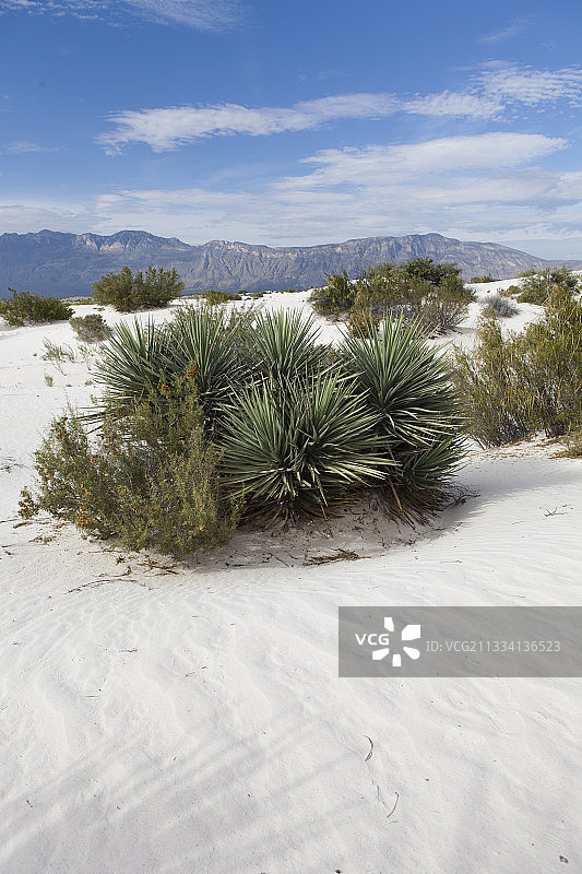 Parque Los Arenales图片素材