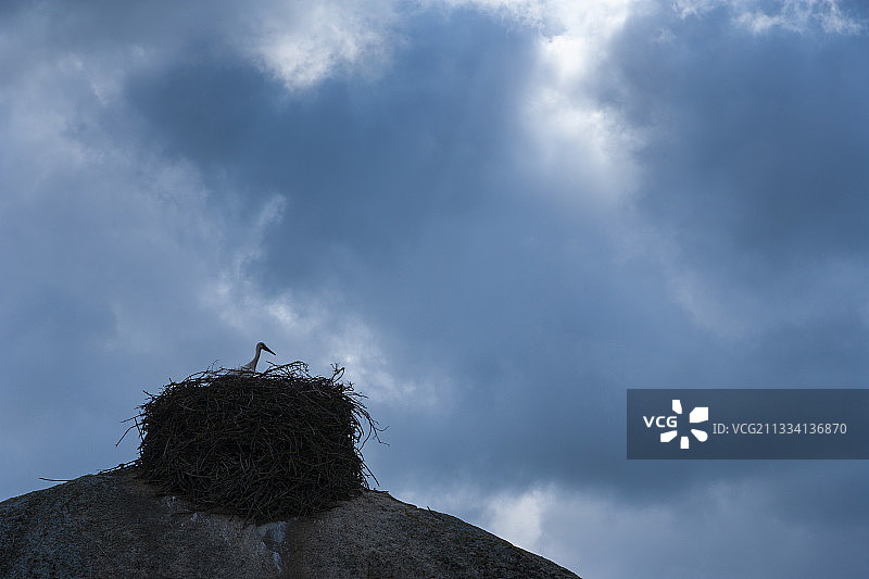 西班牙洛斯巴鲁埃科斯花岗岩岩石上的白鹳鸟巢图片素材