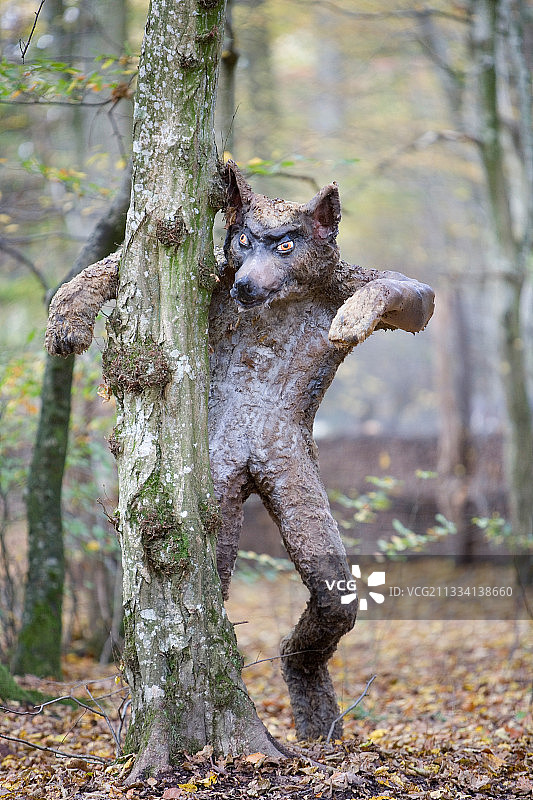 圣克鲁瓦动物园图片素材