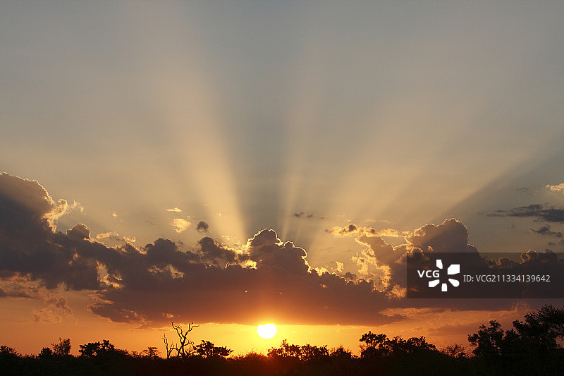 南非克鲁格草原日落图片素材