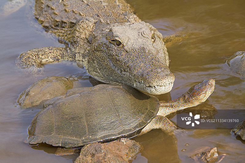 季节性水坑图片素材