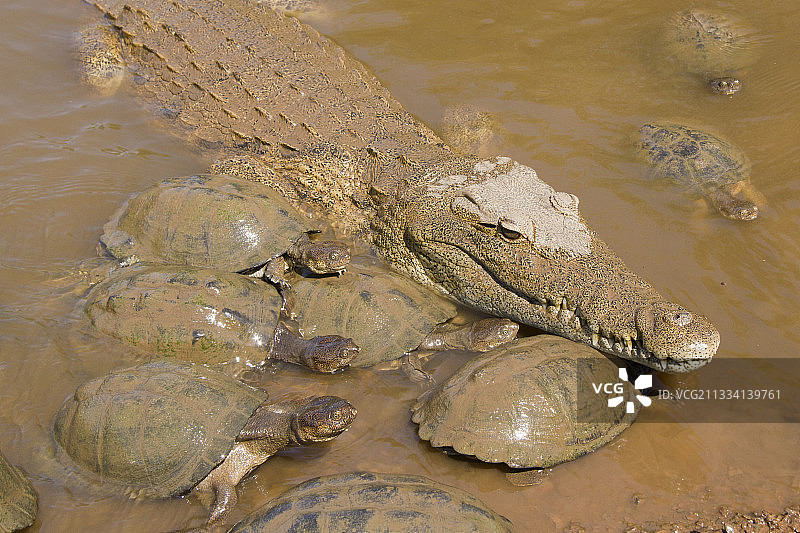 季节性水坑图片素材