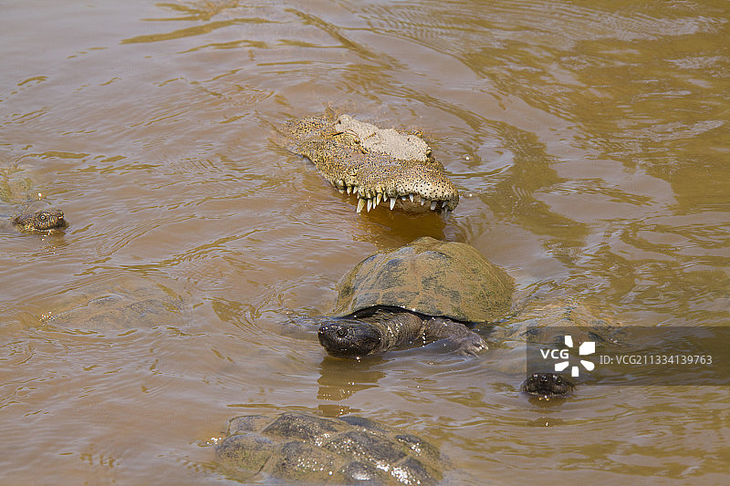季节性水坑图片素材