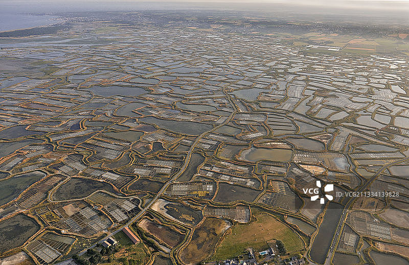 法国卢瓦尔盖朗德盐沼图片素材