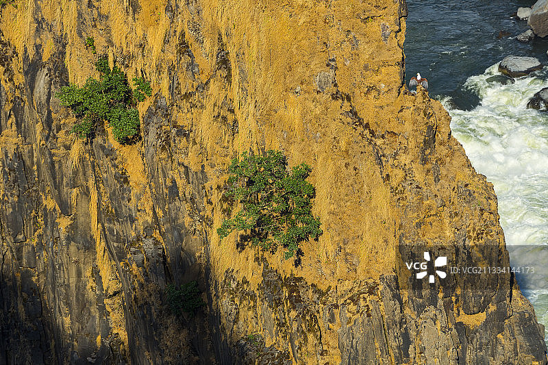 悬崖上的非洲海雕——南部非洲图片素材