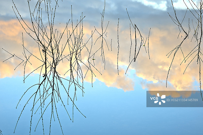 法国比热地区阿尔迈耶湖的树木倒影图片素材