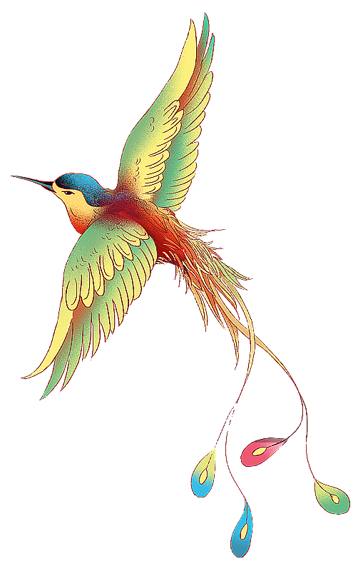 一只展翅飞翔的翠鸟图片素材