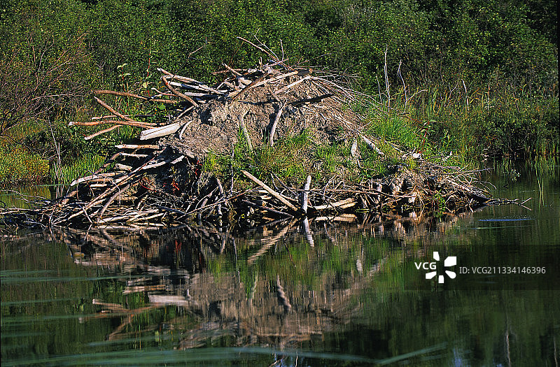 加拿大魁北克阿圭贝尔国家公园索尔特湖上的海狸小屋图片素材