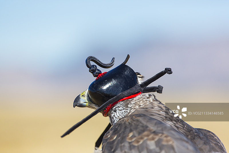 西班牙布尔戈斯戴兜帽人物肖像图片素材