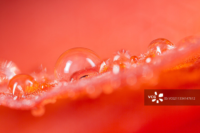 红色塑料上的水滴图片素材