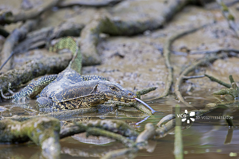 京那巴当岸河岸图片素材