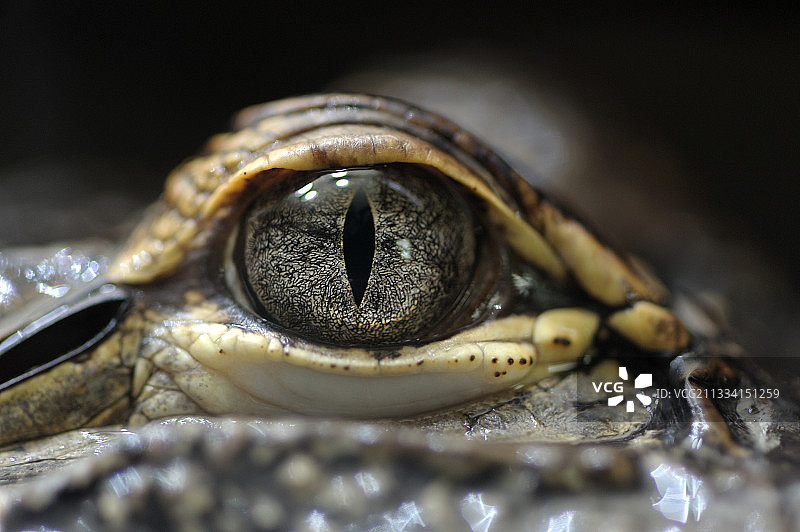 开曼群岛之眼图片素材