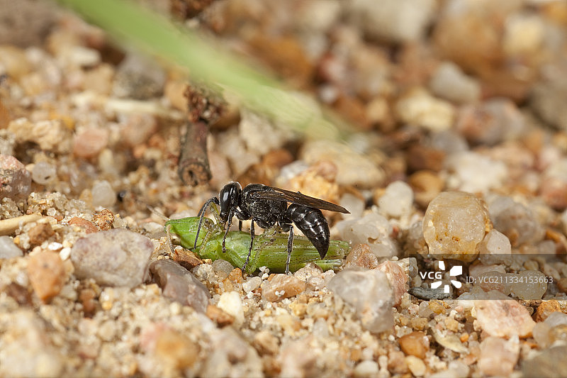 便于运输，天线被切断图片素材