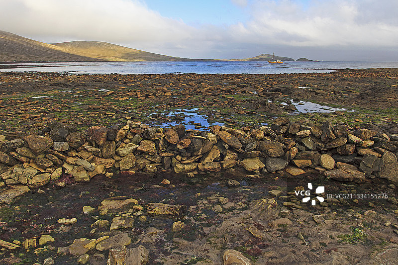 退潮时的捕鱼陷阱 - 福克兰群岛图片素材