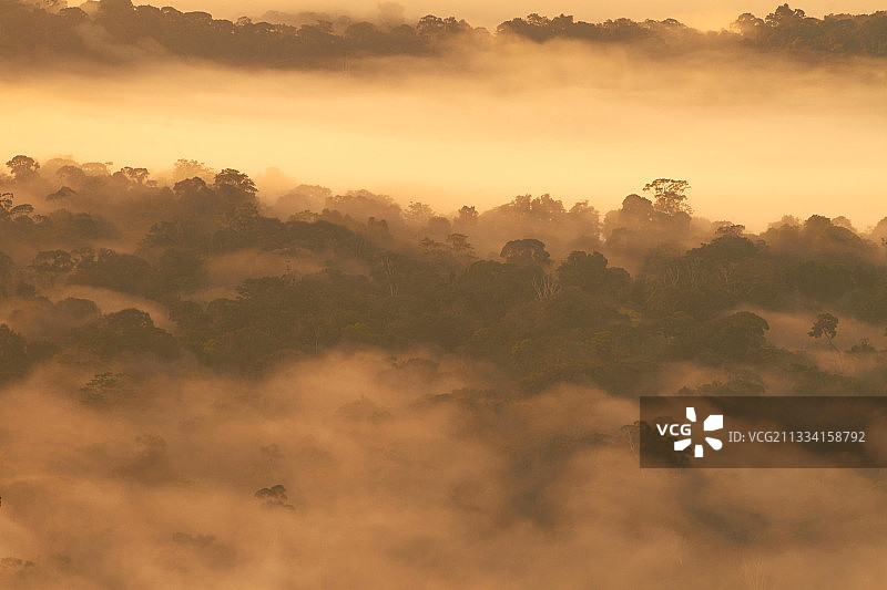 法属圭亚那诺拉格自然保护区黎明景色图片素材