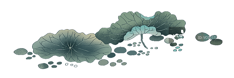 荷花塘里的荷叶图片素材