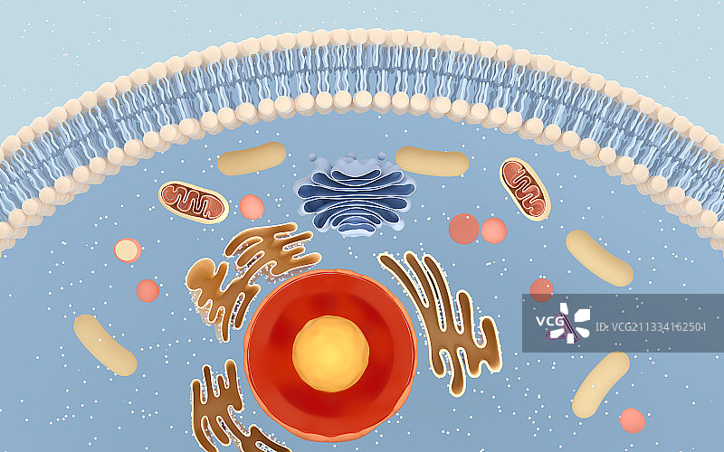 细胞结构背景 3D渲染图片素材