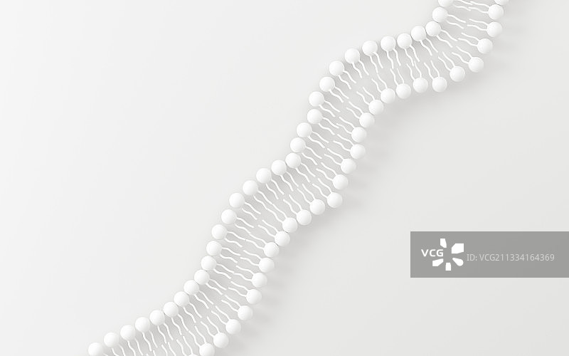 白色的细胞膜背景 3D渲染图片素材