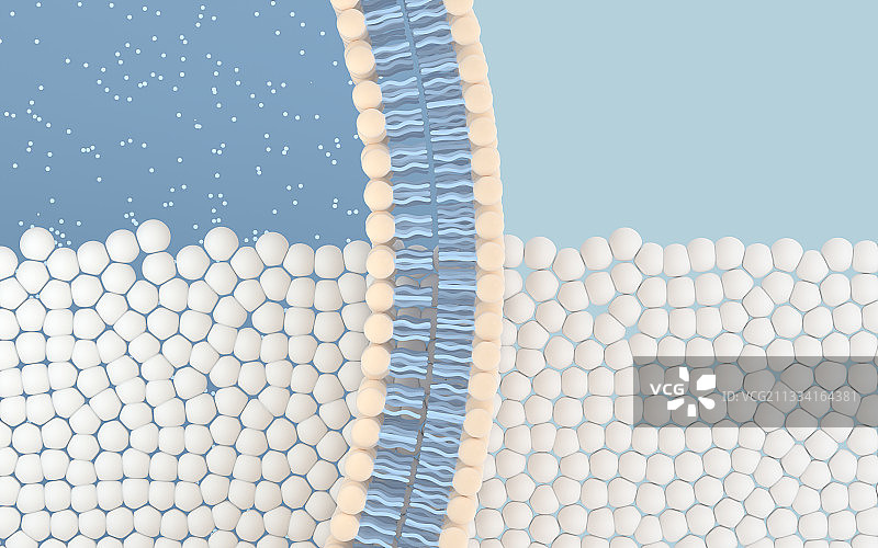 细胞膜结构背景 3D渲染图片素材