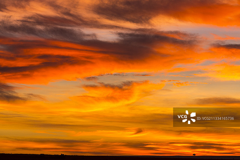 肯尼亚马赛马拉大草原的日出图片素材
