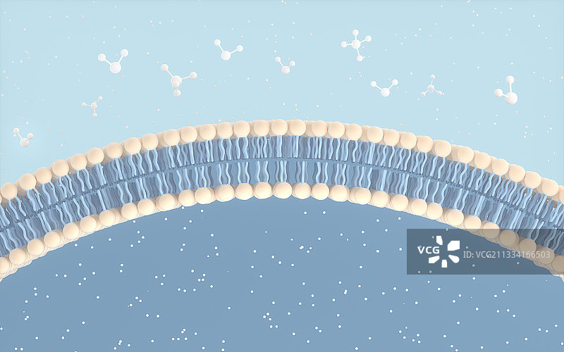 细胞膜和分子结构 3D渲染图片素材