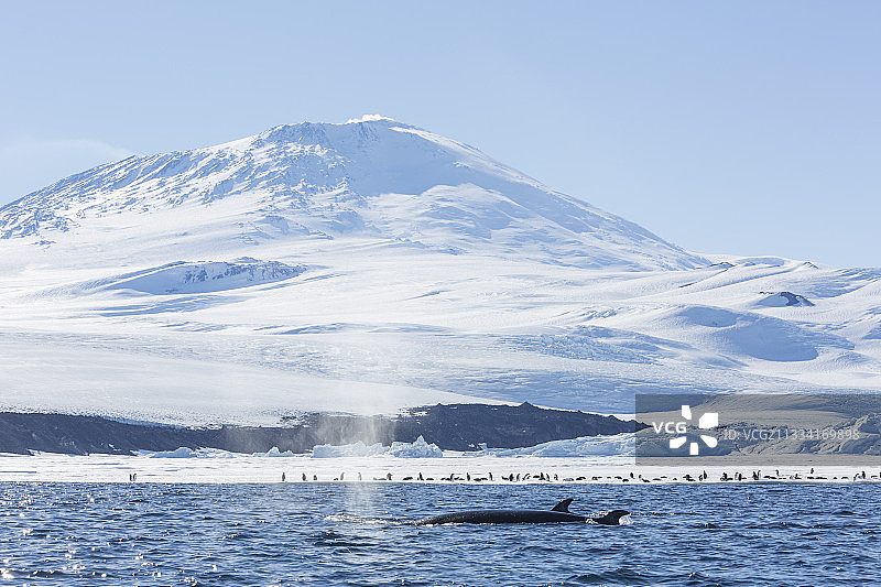 埃里伯斯火山：海拔3794米图片素材