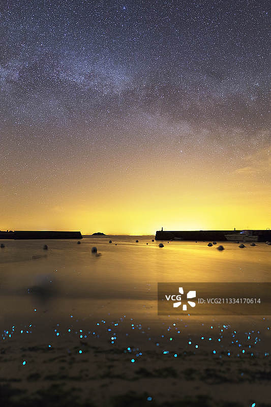 夏季三美女星空下的生物发光浮游生物海岸图片素材
