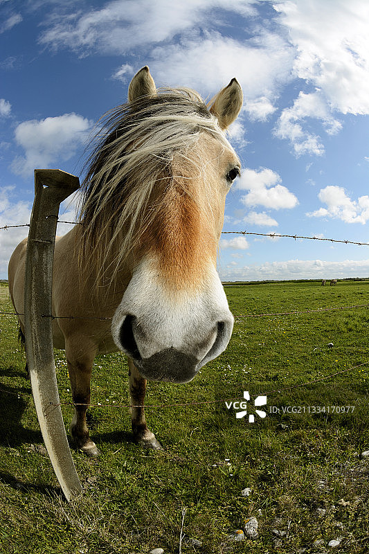 昂森马的亨森马肖像，法国图片素材