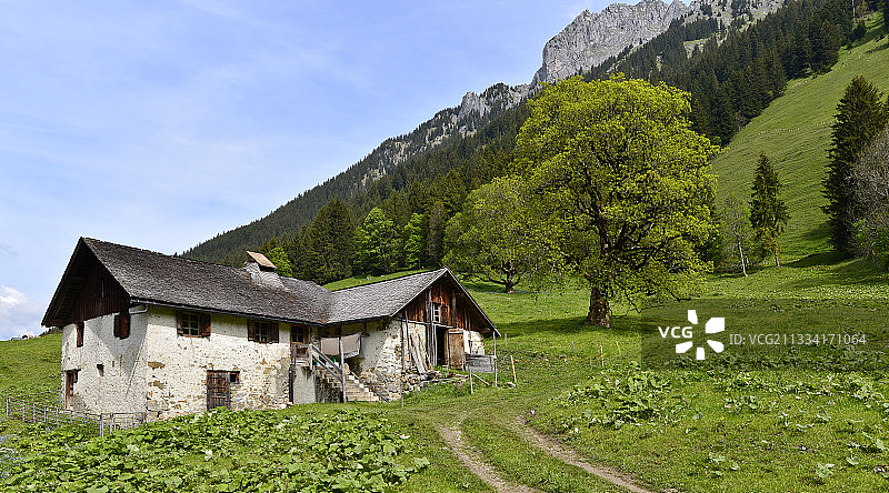 埃蒂瓦兹山谷，以其山地奶酪而闻名图片素材