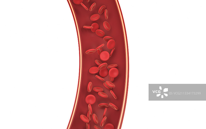 血管中的红细胞 3D渲染图片素材