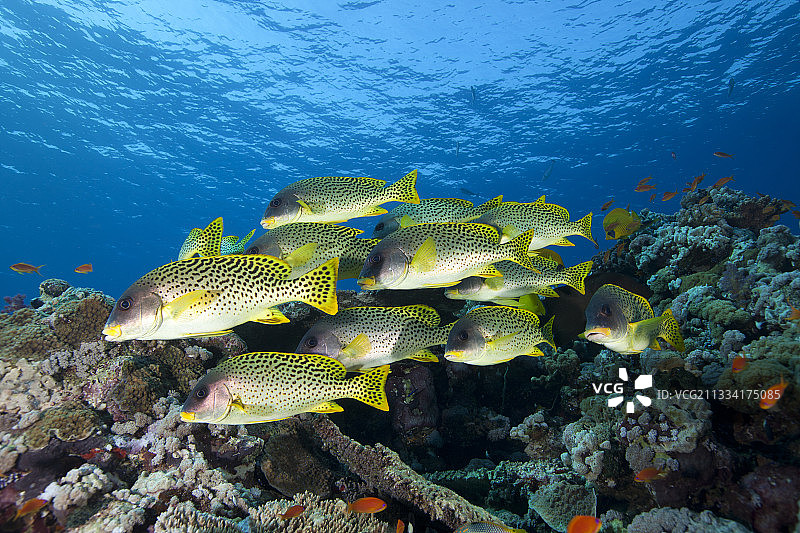 索阿金群岛图片素材