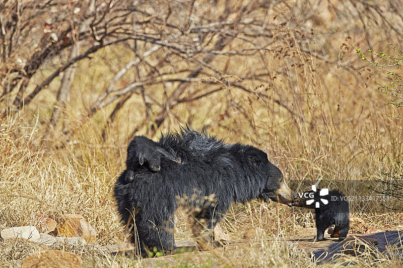 桑德山脉图片素材