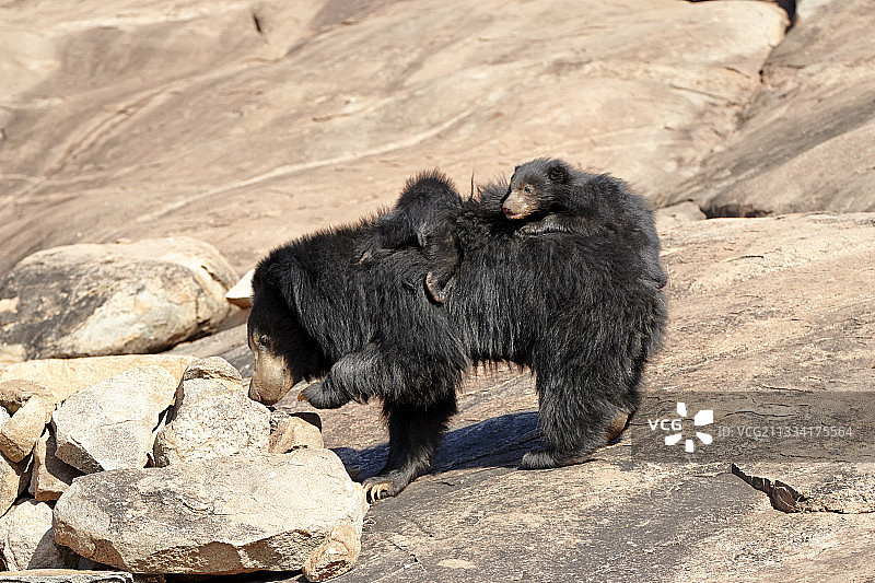 母亲背着婴儿图片素材