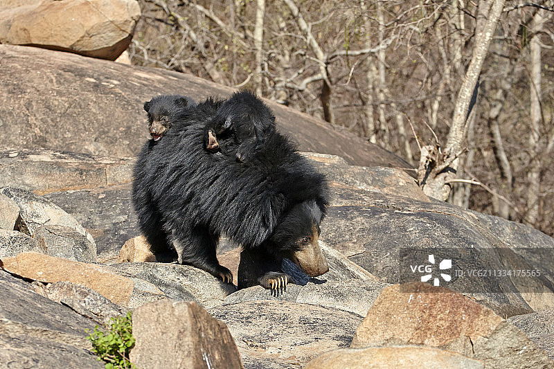 母亲背着婴儿图片素材