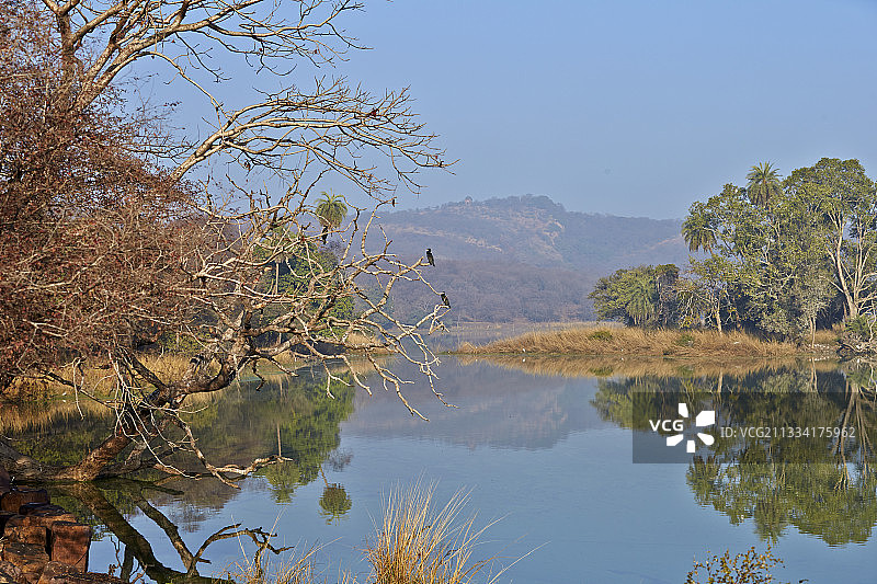 伦滕波尔堡（印度）的湖泊景观图片素材
