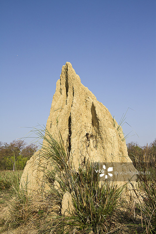 巴迪亚尼泊尔的白蚁丘图片素材
