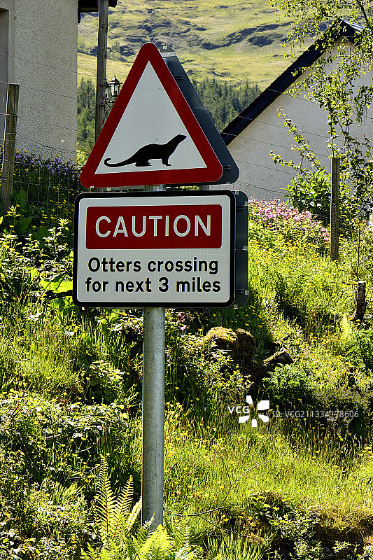 苏格兰马尔岛水獭通行标志图片素材