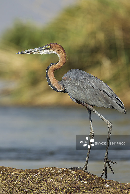 从船上拍摄的照片图片素材