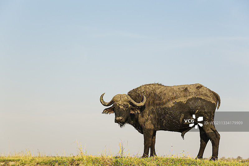 从船上拍摄的照片图片素材